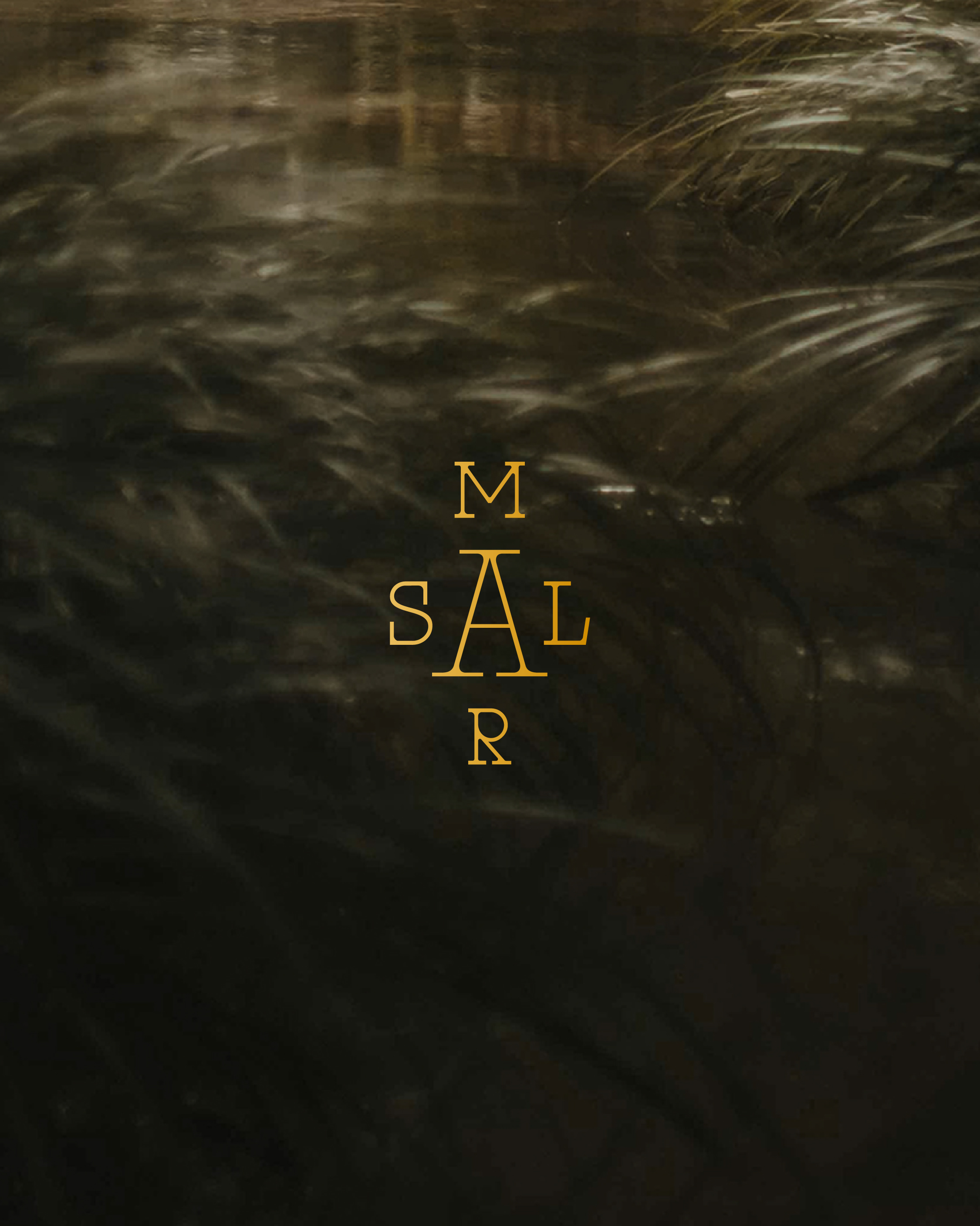 Tide to Dream — The Silk Night Ritual Collection - image 2